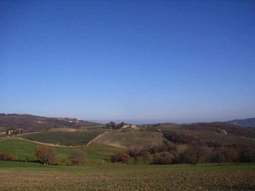 negozio in vendita a Siena in zona Centro Città