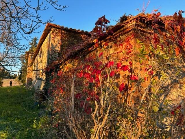 casa indipendente in vendita a Siena in zona Montalbuccio