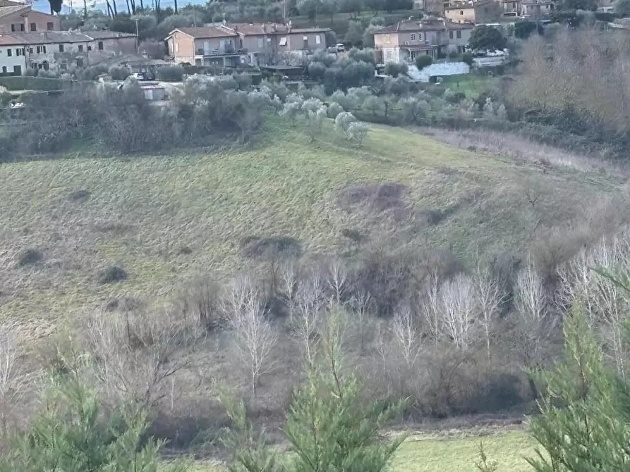 casa indipendente in vendita a Siena