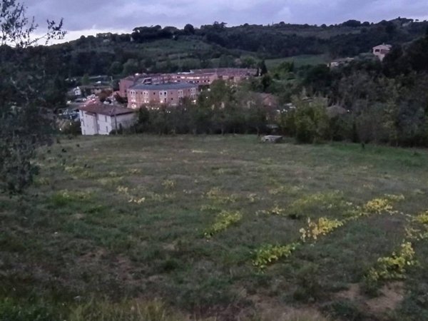 terreno agricolo in vendita a Siena