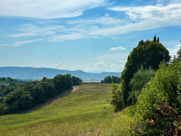 casa indipendente in vendita a Siena in zona San'Andrea a Montecchio