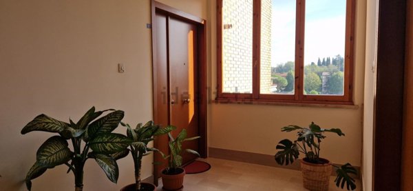 appartamento in vendita a Siena in zona San Dalmazio
