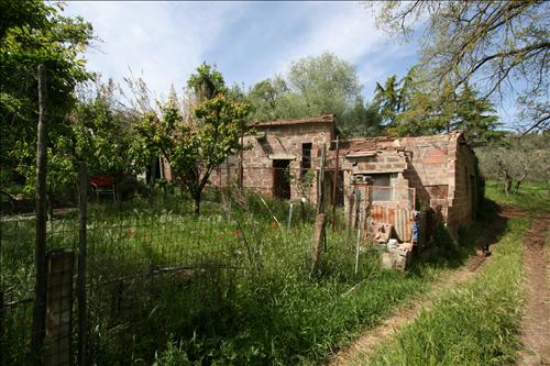 terreno agricolo in vendita a Sinalunga