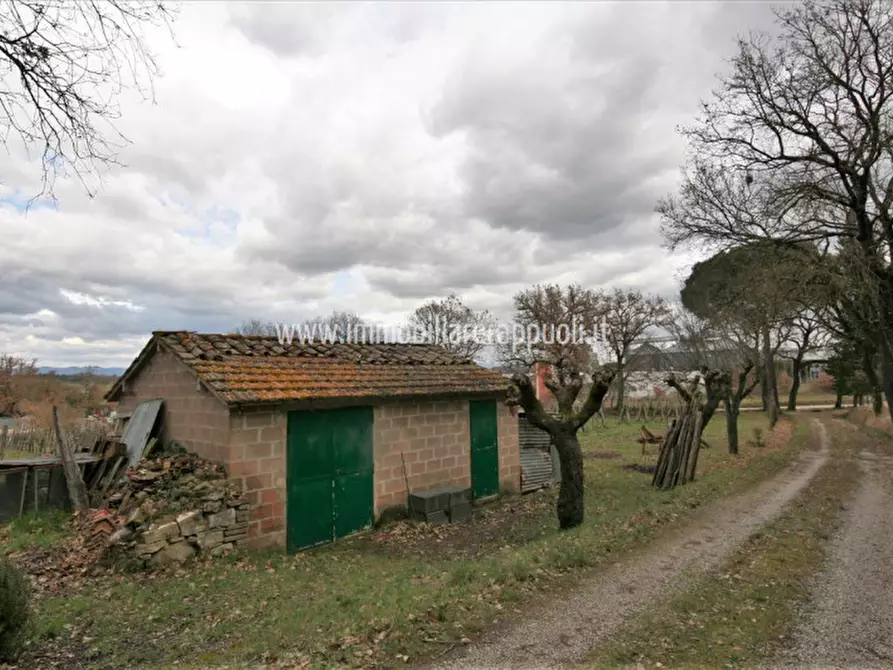 casa indipendente in vendita a Sinalunga