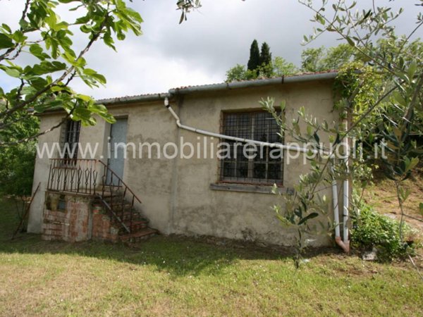 casa indipendente in vendita a Sinalunga in zona Farnetella