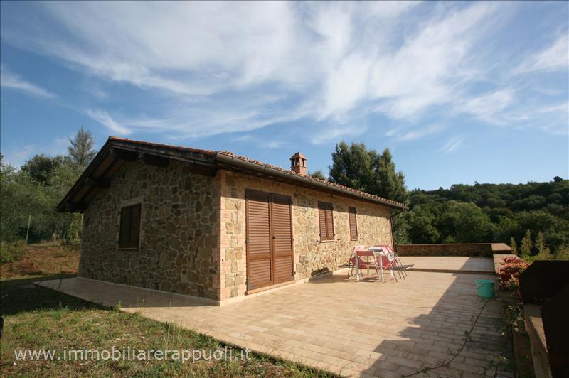 casa indipendente in vendita a Sinalunga in zona Scrofiano