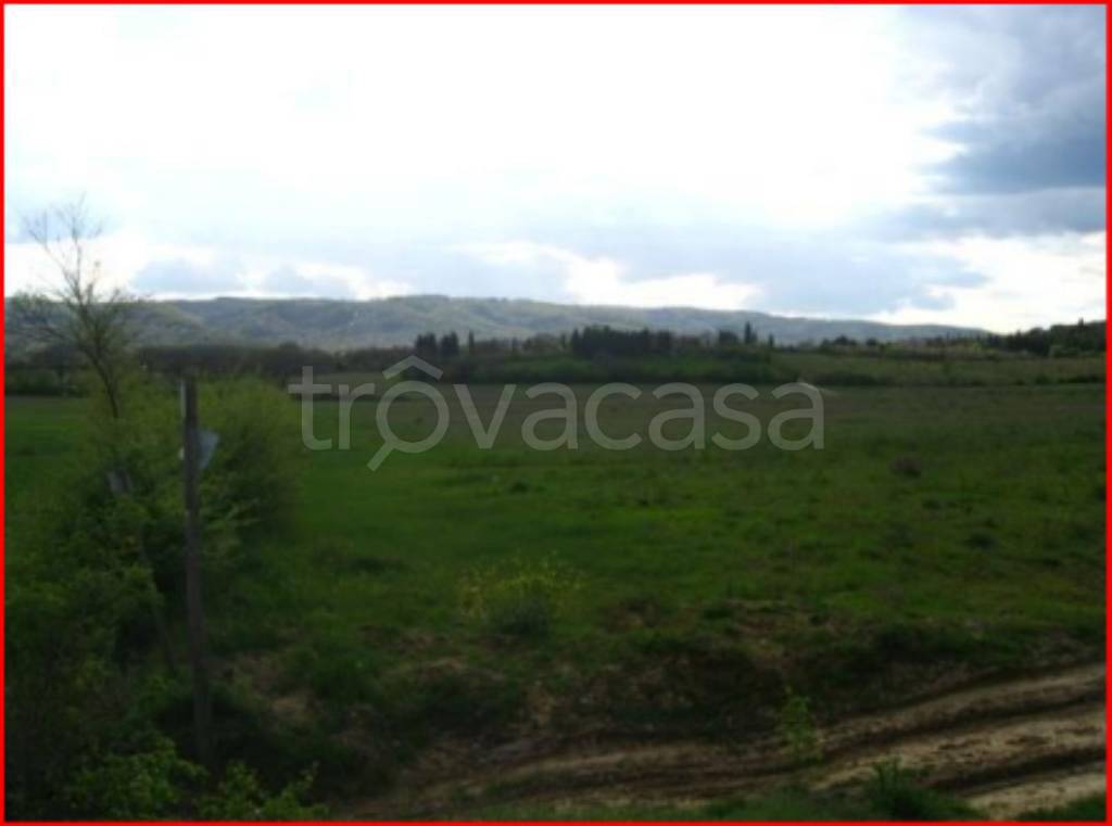 terreno agricolo in vendita a Sinalunga in zona Guazzino