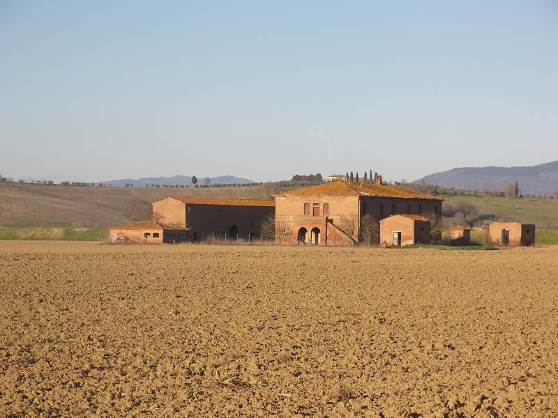azienda agricola in vendita a Sinalunga