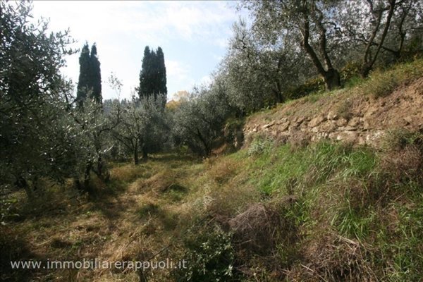 terreno agricolo in vendita a Sinalunga