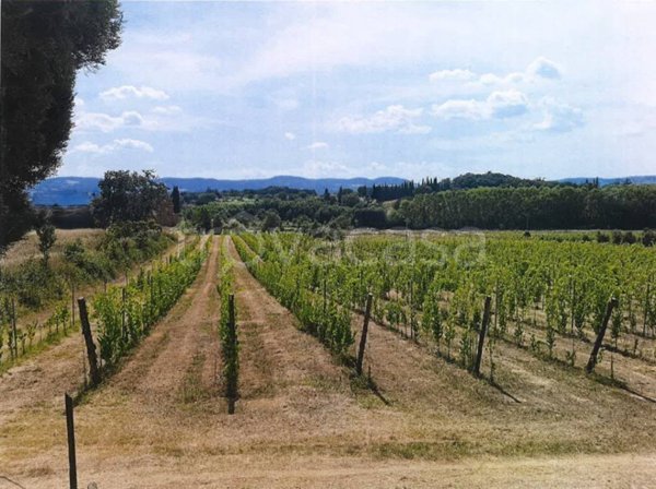 terreno agricolo in vendita a Sinalunga