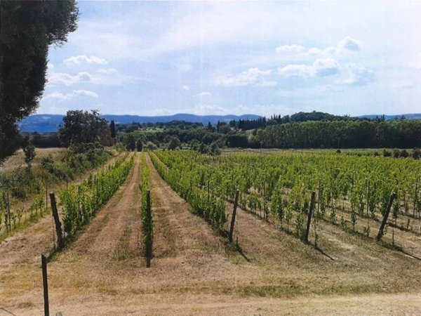 terreno agricolo in vendita a Sinalunga