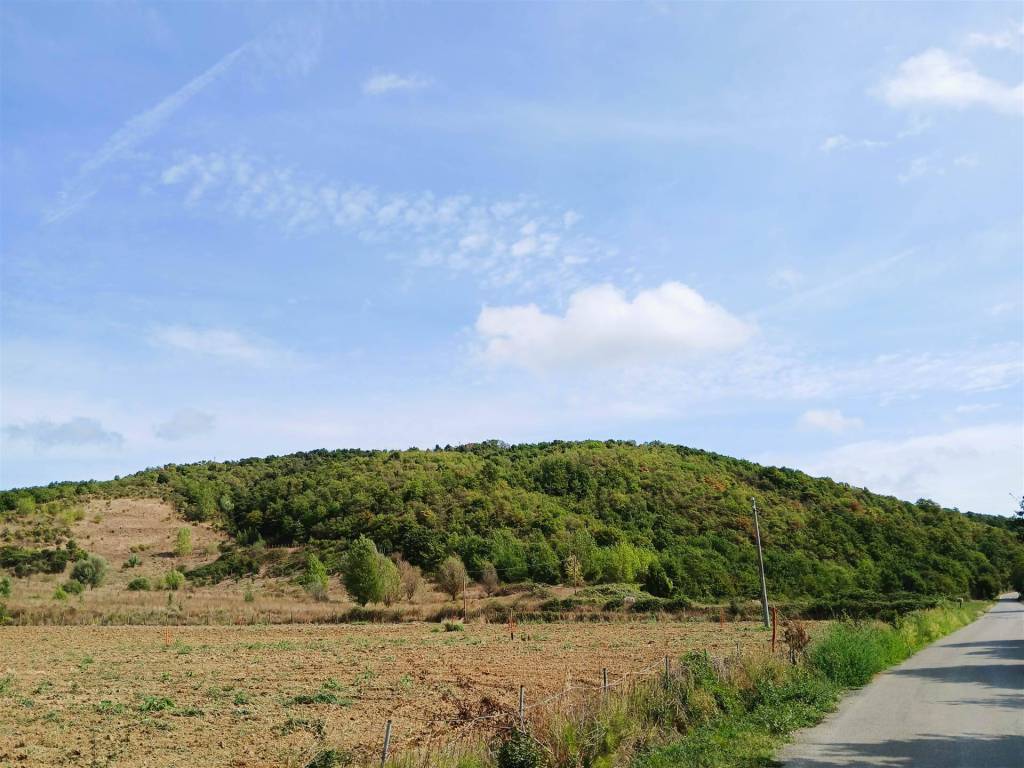 terreno agricolo in vendita a Sinalunga in zona Rigomagno