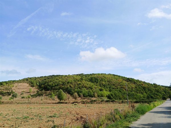 terreno agricolo in vendita a Sinalunga in zona Rigomagno