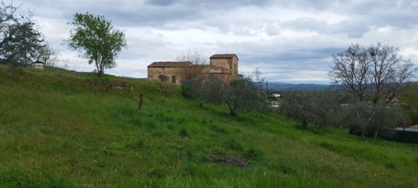 casa indipendente in vendita a Sinalunga