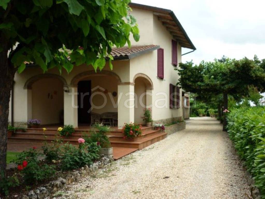 appartamento in vendita a Sinalunga