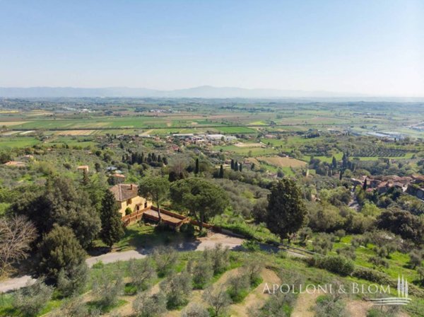 casa indipendente in vendita a Sinalunga in zona Scrofiano