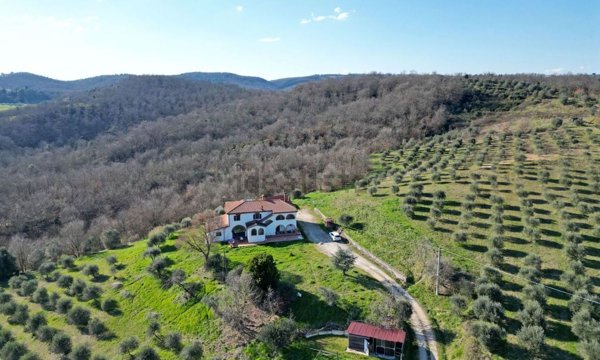 appartamento in vendita a Sinalunga
