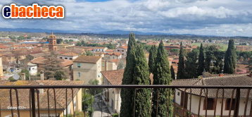 appartamento in vendita a Sinalunga