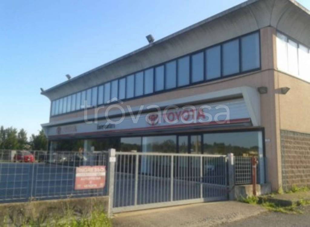 negozio in vendita a Sinalunga
