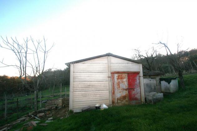 terreno agricolo in vendita a Sinalunga