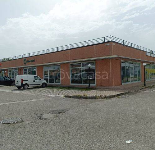 negozio in vendita a Sinalunga