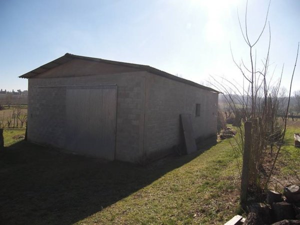 terreno agricolo in vendita a Sinalunga