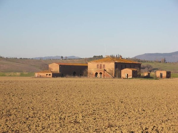 azienda agricola in vendita a Sinalunga
