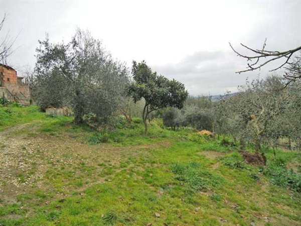 terreno agricolo in vendita a Sinalunga in zona Guazzino