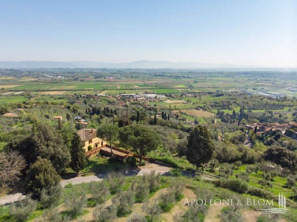 casa indipendente in vendita a Sinalunga in zona Scrofiano