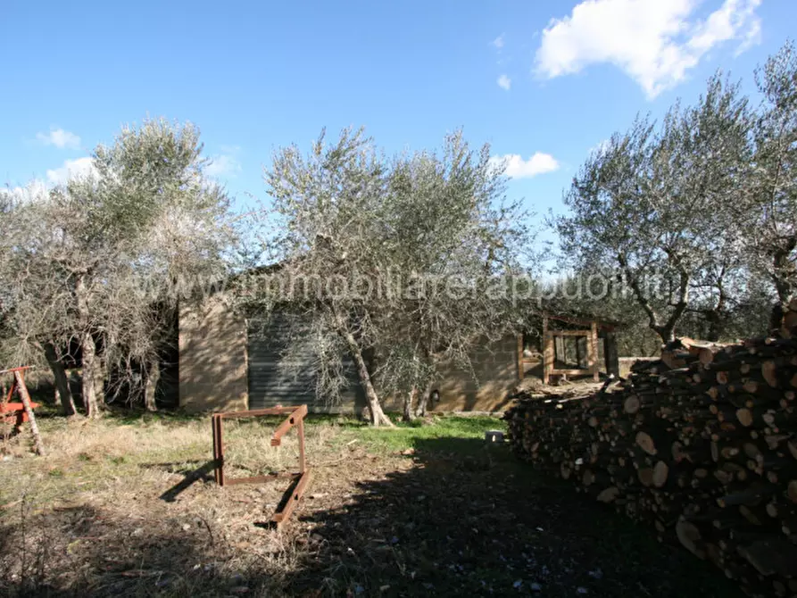 casa indipendente in vendita a Sinalunga in zona Guazzino