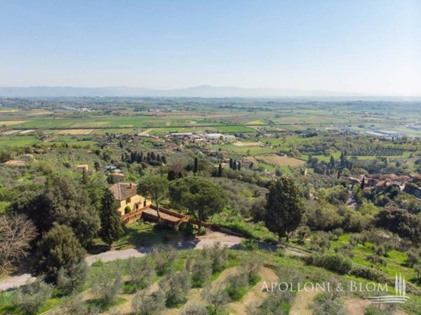 casa indipendente in vendita a Sinalunga in zona Scrofiano