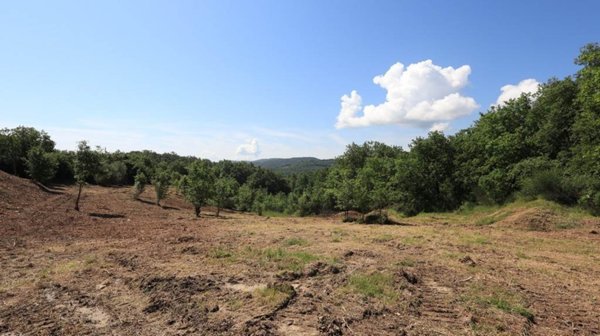 terreno edificabile in vendita a Sinalunga