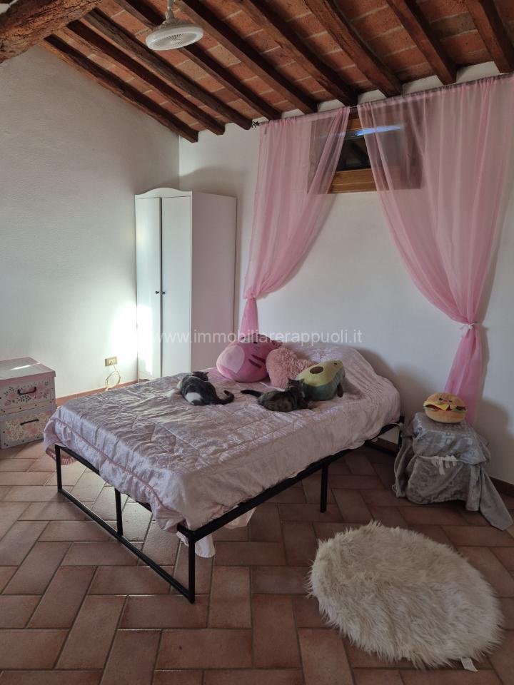 casa indipendente in vendita a Sinalunga