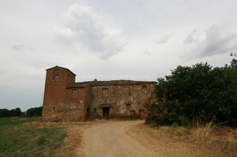 casa indipendente in vendita a Sinalunga in zona Scrofiano