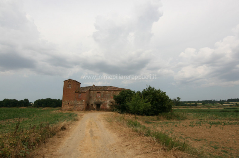 casa indipendente in vendita a Sinalunga in zona Scrofiano