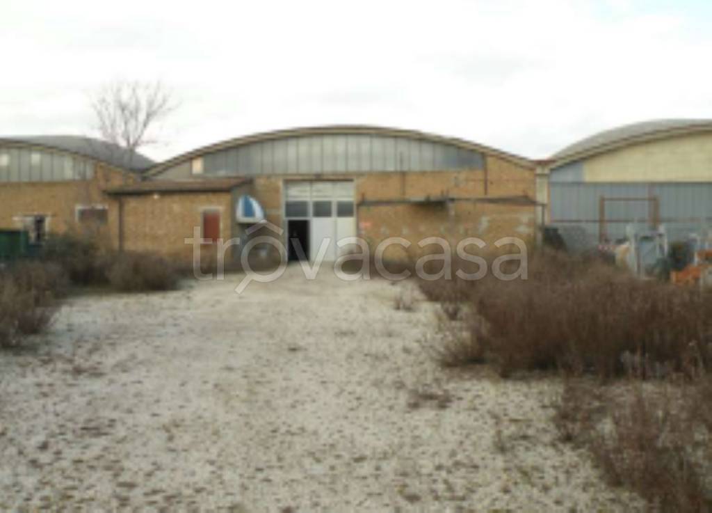 locale commerciale in vendita a Sinalunga