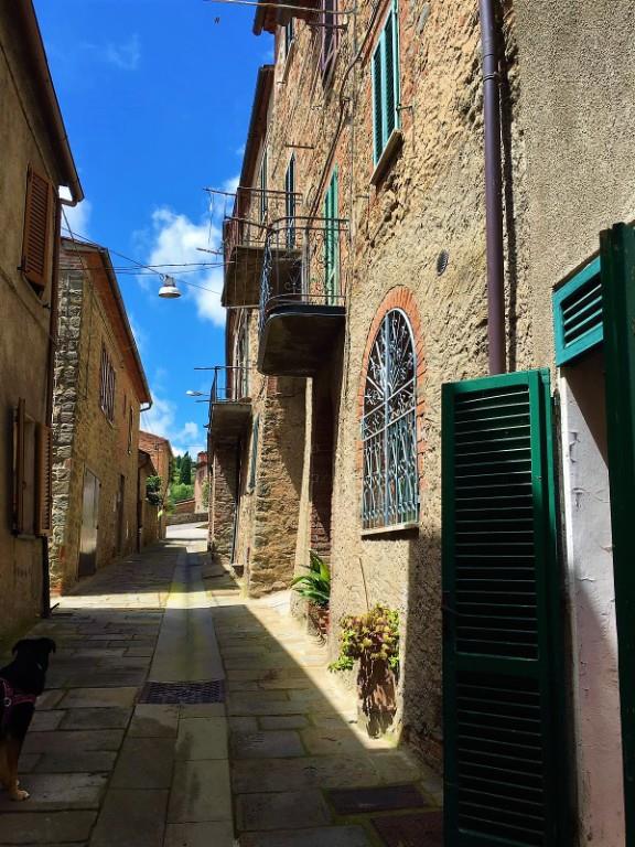 casa indipendente in vendita a Sinalunga in zona Farnetella