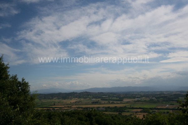 casale in vendita a Sinalunga
