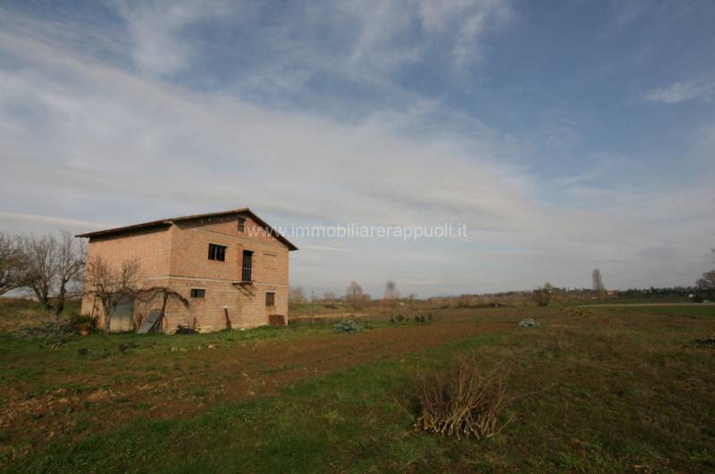 casale in vendita a Sinalunga