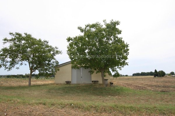 casale in vendita a Sinalunga
