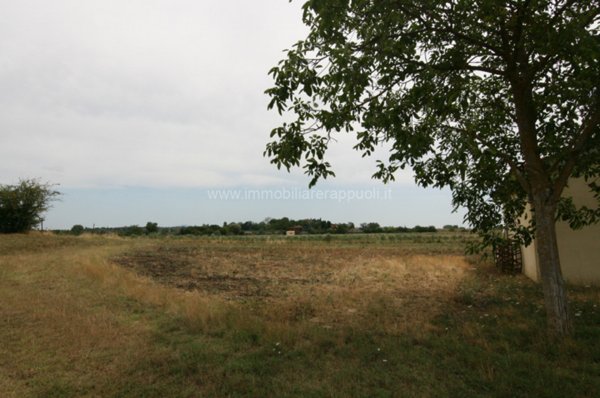 casale in vendita a Sinalunga