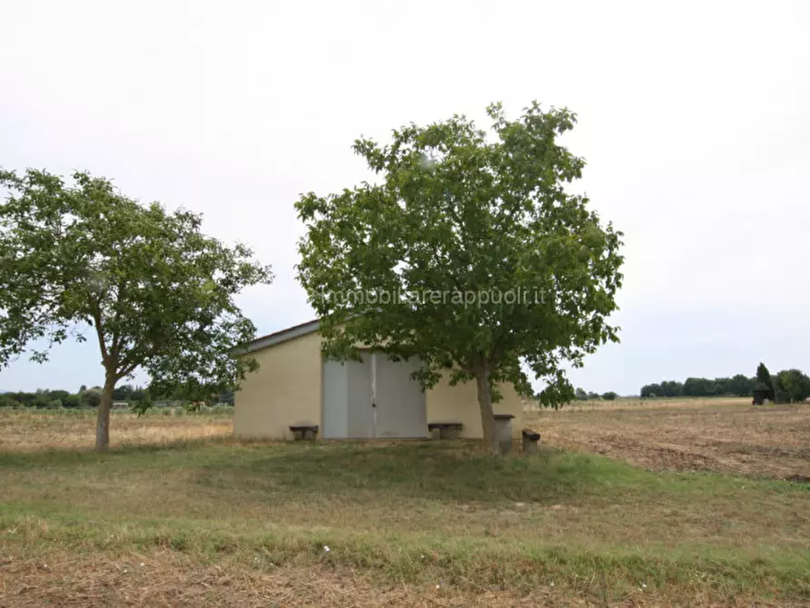 casa indipendente in vendita a Sinalunga