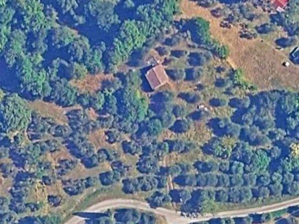 terreno agricolo in vendita a Sinalunga