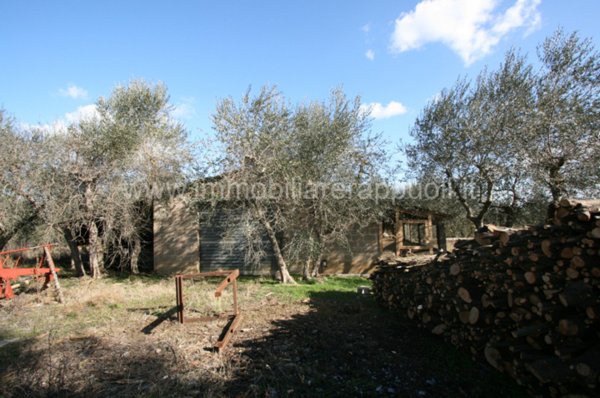 casa indipendente in vendita a Sinalunga in zona Guazzino