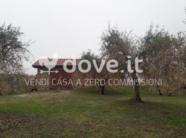 appartamento in vendita a Sinalunga