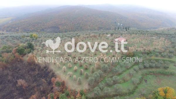 appartamento in vendita a Sinalunga