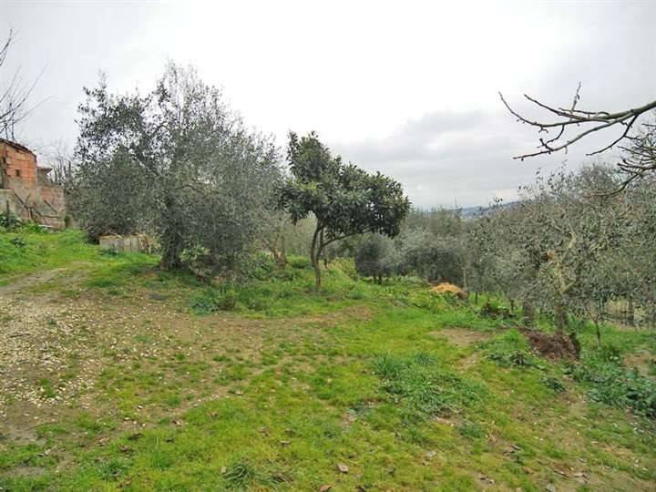 terreno agricolo in vendita a Sinalunga in zona Bettolle