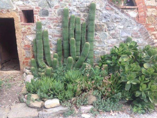casa indipendente in vendita a Sinalunga