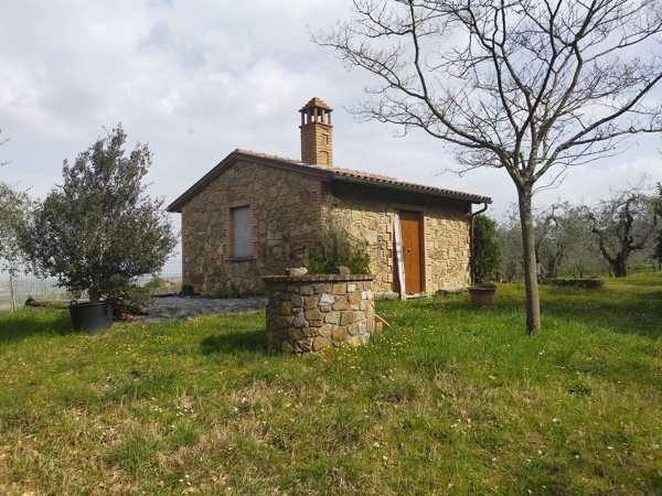 appartamento in vendita a Sinalunga