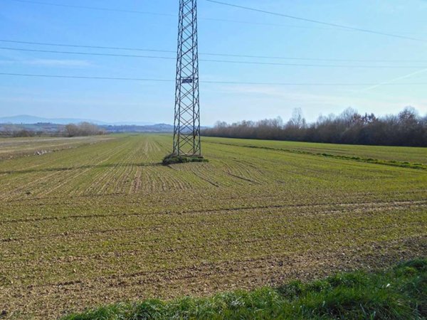 terreno agricolo in vendita a Sinalunga in zona Bettolle